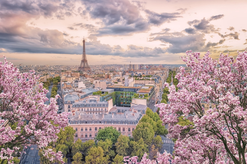 View over the rooftops of Paris with Cherry Blossoms